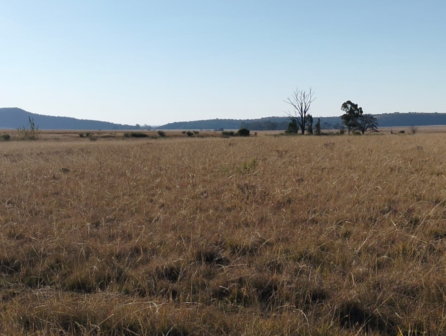 Commercial Property for Sale in Thaba Nchu Free State